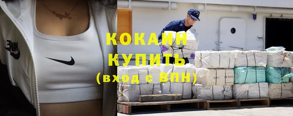 твердый Кодинск